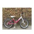 Raleigh Star 20" Kids Bicycle